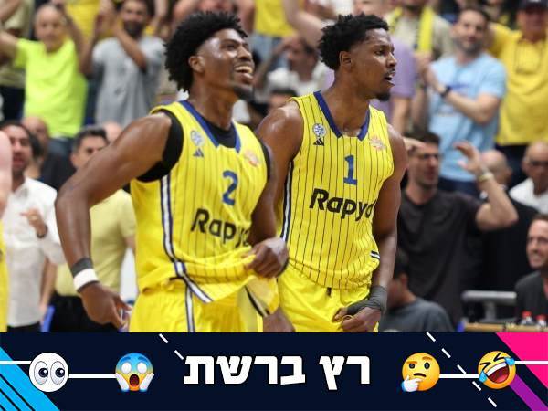 (אלן שיבר)