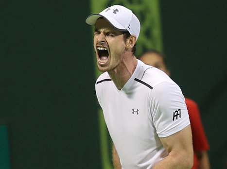 היה קרוב לקאמבק. מארי (getty)