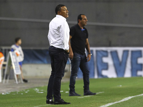 וידיגל. הבטיח לחימה (אלן שיבר)