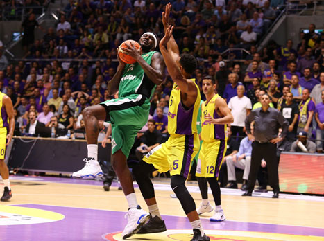 פינקני וחבריו לא הצליחו לגנוב את הביתיות (לירון מולדובן)