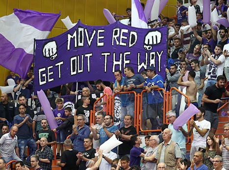 הקהל הסגול דחף לניצחון (אלן שיבר)