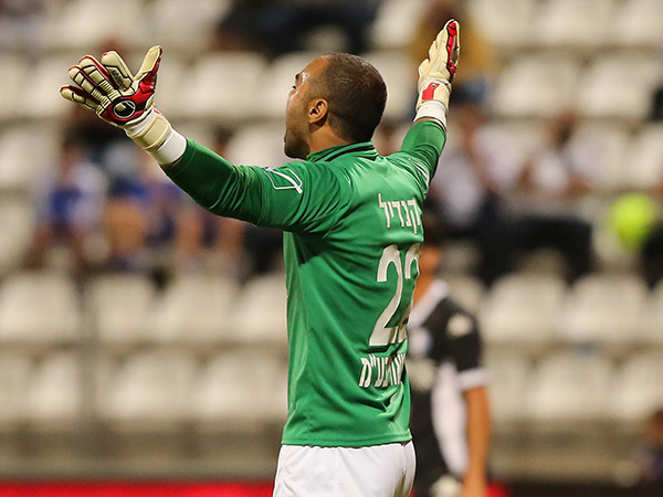 קנדיל. הפרחים לגוזלן (סוכנות ג'יני)