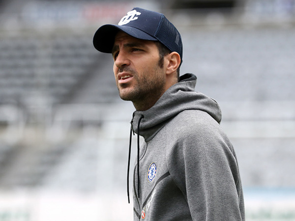 פברגאס נחוש להחזיר את המדליה (getty)