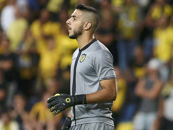 ניצן. יקבל קרדיט? (אלן שיבר)