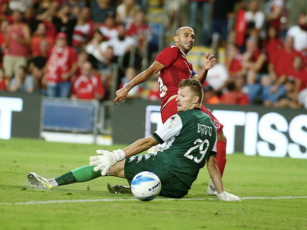 בין המחמיצים. דמארי (אלן שיבר)