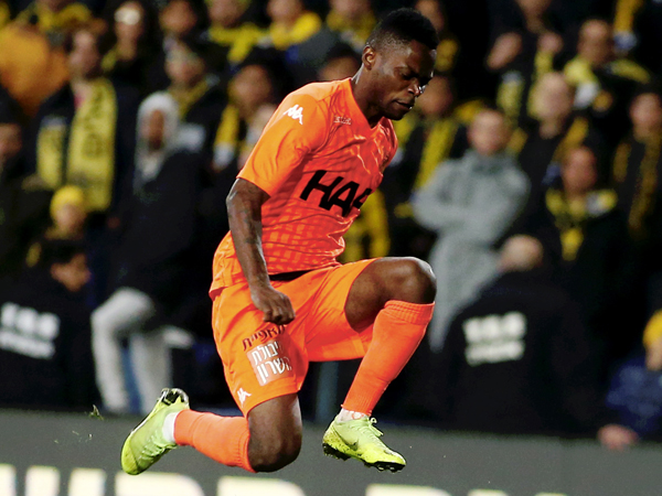 גם הוא נעלב מהנהמות. צ'יבוטה (צילום: אלן שיבר)