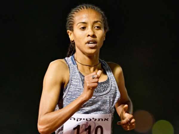 (צילום: טיבור יגר)