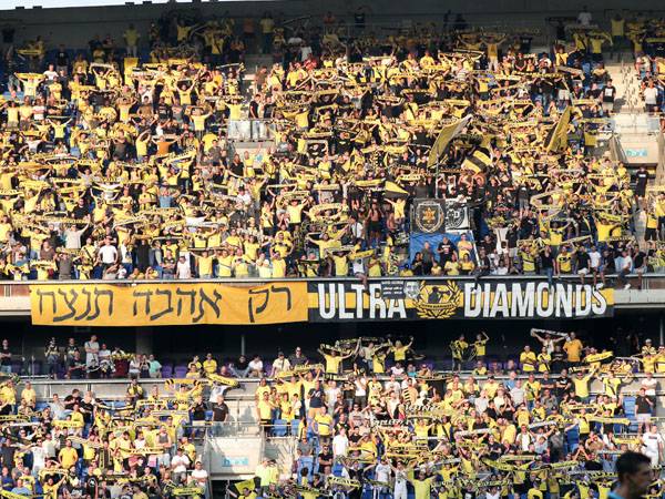 אוהדי נתניה. המיזם של אייל סגל נושא פרסים (דני מרון)