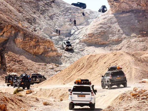 (צילום: עמית חיימוביץ')