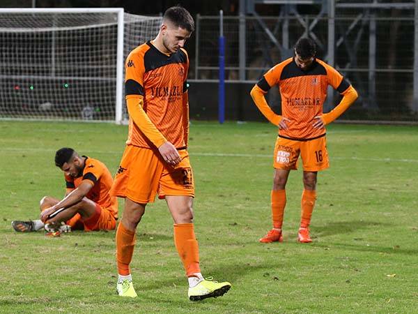 הפסד שני ברציפות (אנצ'ו גוש)