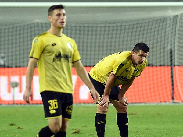 (ברני ארדוב)