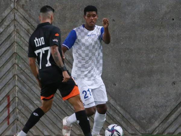 (אודי ציטיאט)