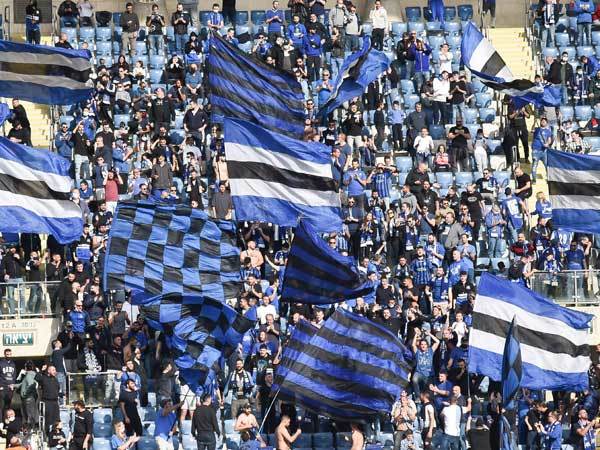 (ברני ארדוב)