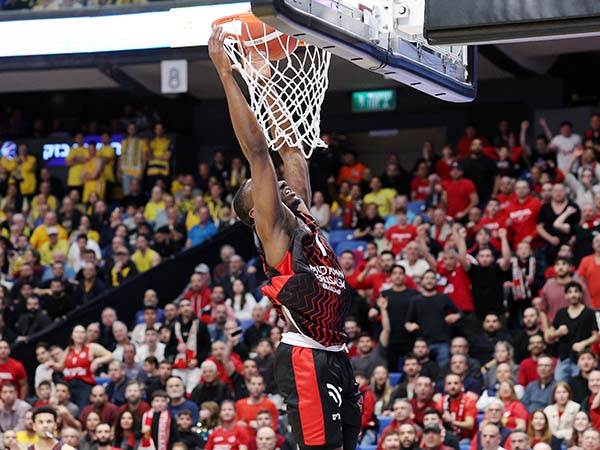 (צילום: אלן שיבר)