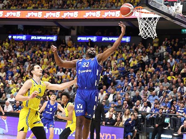 (צילום: אלן שיבר)