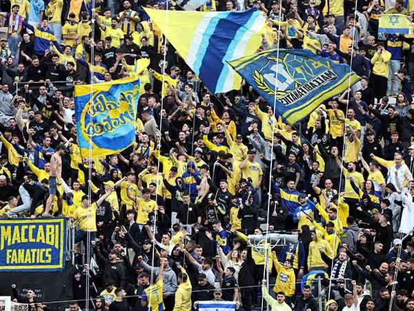 (צילום: אלן שיבר)