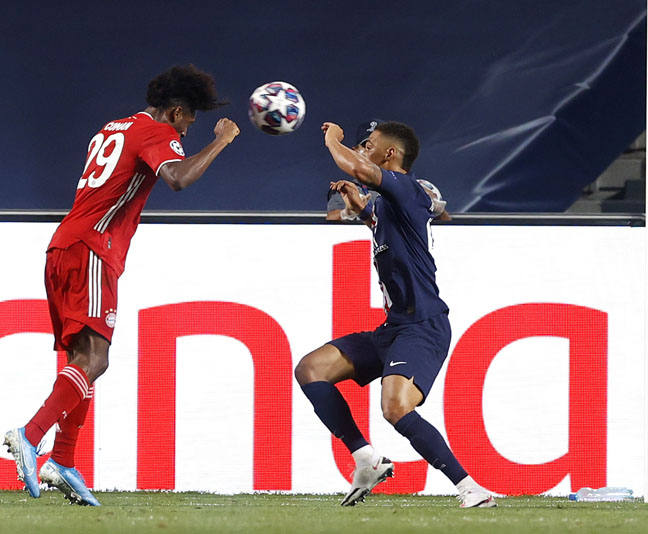 השפן התורן (GETTY)