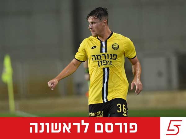 (ברני ארדוב)