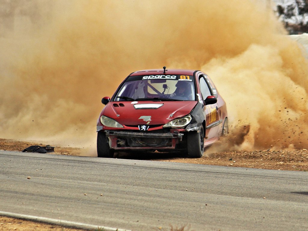 (צילומים: יובל לוי)