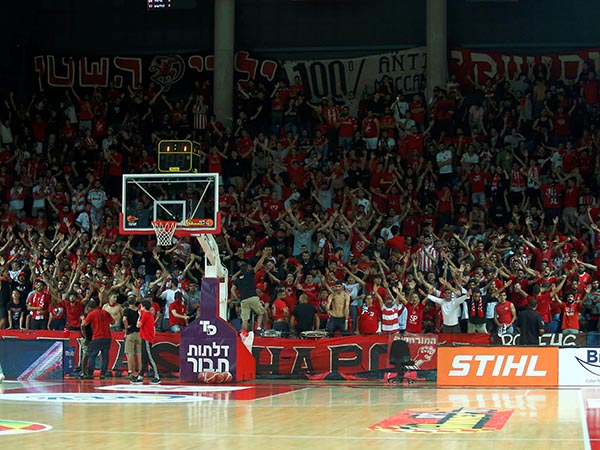 (אלן שיבר)