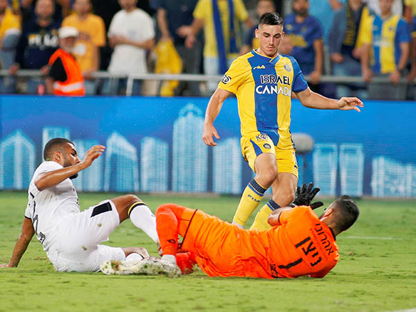 יש עתיד (אלן שיבר)