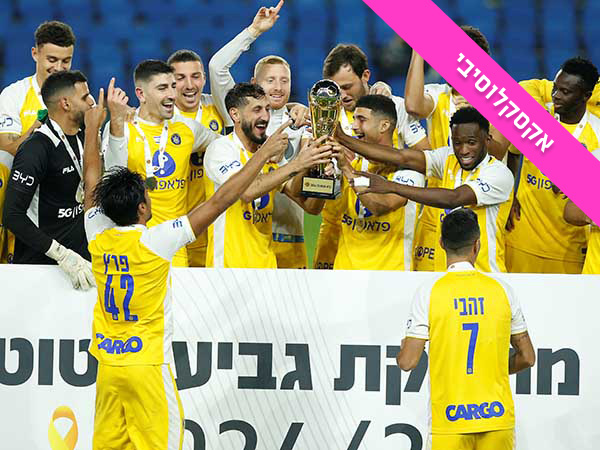 (אלן שיבר)