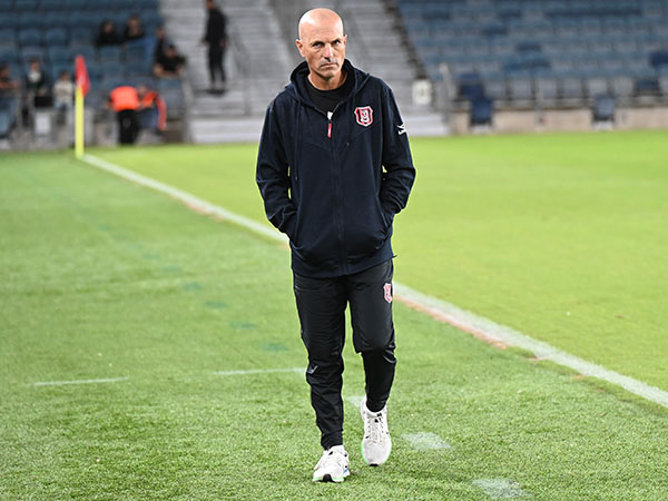 (ברני ארדוב)