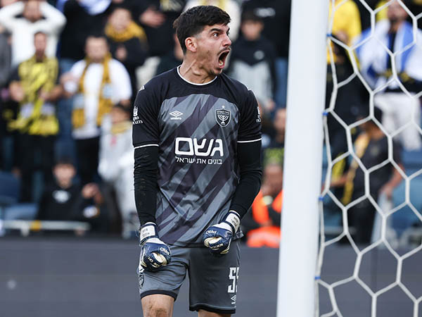 החלטות קשות (אלן שיבר)