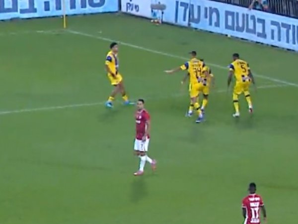 חגיגה צהובה