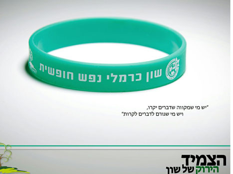 הצמיד לזכרו של שון כרמלי ז"ל