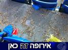 גרעינים בשני יורו, רק בנתניה ארנה: אנחנו באירופה. כמעט