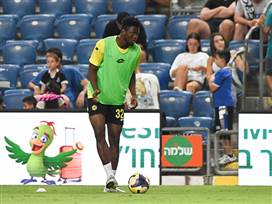 (ברני ארדוב)