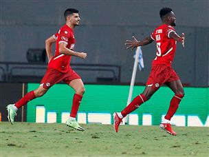 כמה רחוק הם יגיעו? (אלן שיבר)