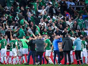 חגיגה בירוק (מאור אלקסלסי)