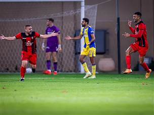 והדהים את הצהובים (מאור אלקסלסי)