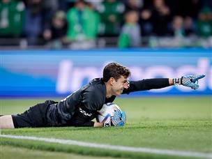 ג'וש כהן. הגיבור הנוסף (מאור אלקסלסי)