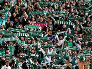 אך הקהל הירוק השפיע (אלן שיבר)