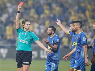 ספג אדום ישיר. בושנאק (אלן שיבר)