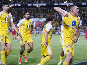 נותרה מושלמת (אלן שיבר)