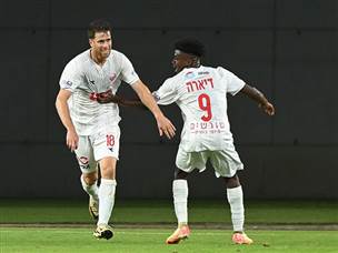 ביצוע נפלא (ברני ארדוב)