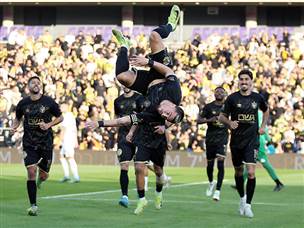 סלטה של שועה (אלן שיבר)