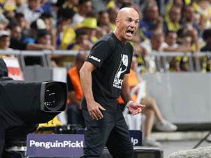 אריה, הרבה ממה להיות מרוצה, המון ממה להיות מאוכזב (אלן שיבר)