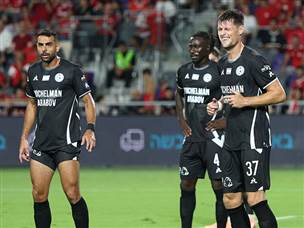 תחזור מאוכזבת לצפון (אלן שיבר)