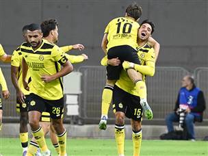 בילו כבש ראשון (ברני ארדוב)