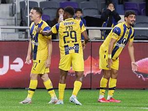 דוידה הכפיל (אלן שיבר)