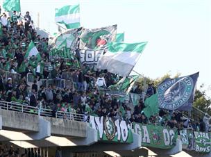 קצת נחת לקהל הירוק (אלן שיבר)