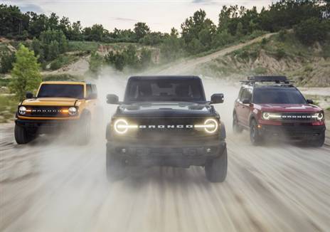 משפחת ברונקו