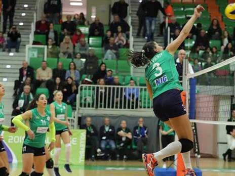 (צילום: יוסי לזרוף)