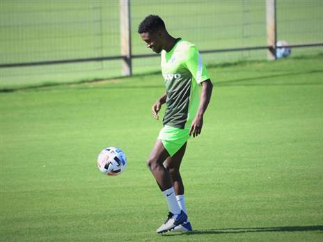 (צילום באדיבות מכבי חיפה, האתר הרשמי)