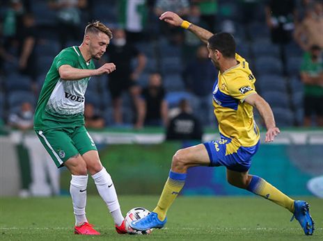 (מאור אלקסלסי)